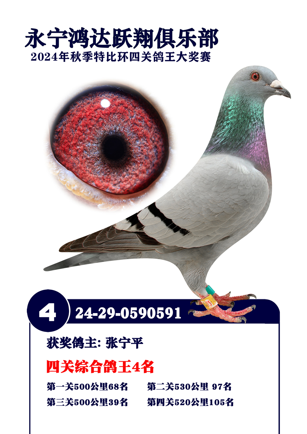 ȫͼ
