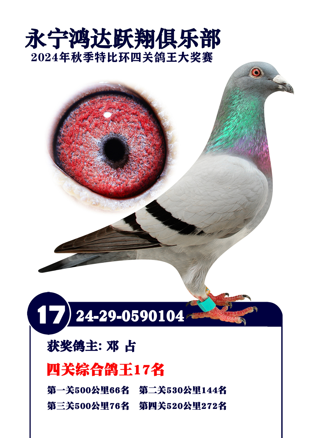 ȫͼ