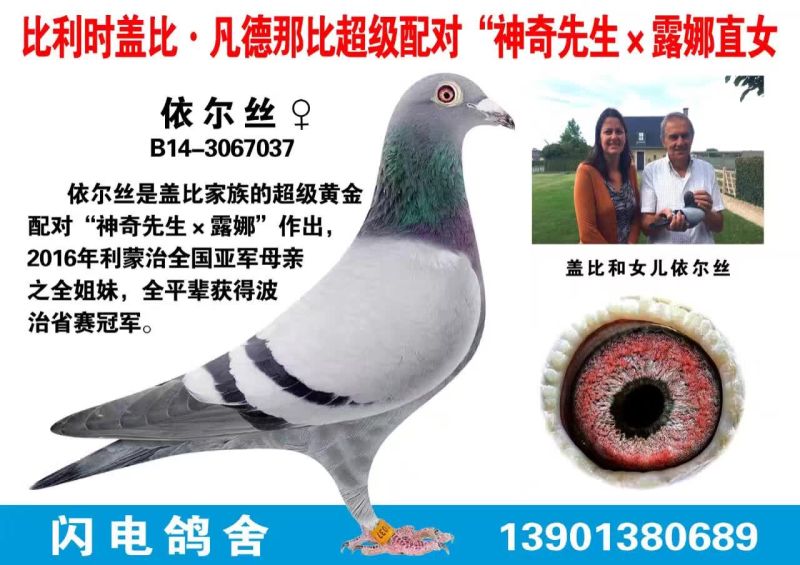ȫͼ
