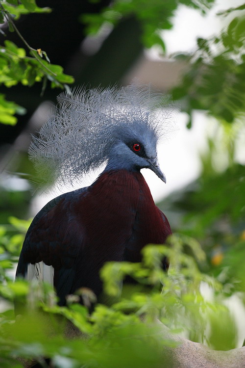 ȫͼ