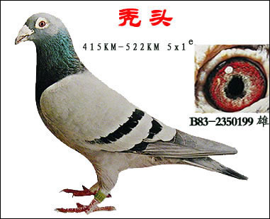 ȫͼ