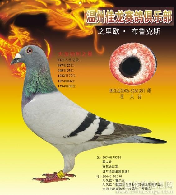 ȫͼ