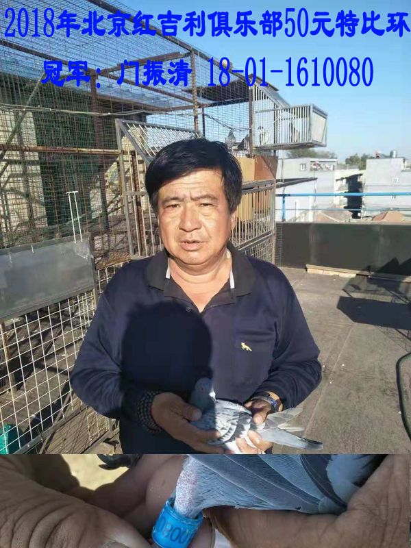 ȫͼ
