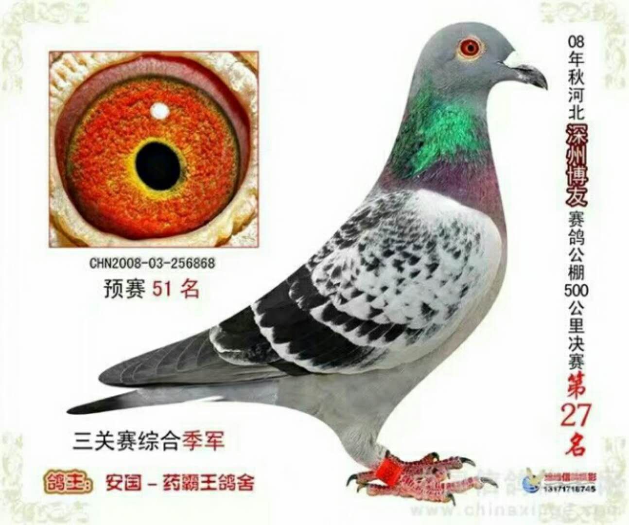 ȫͼ