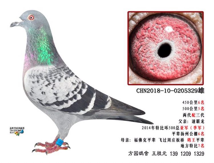 ȫͼ