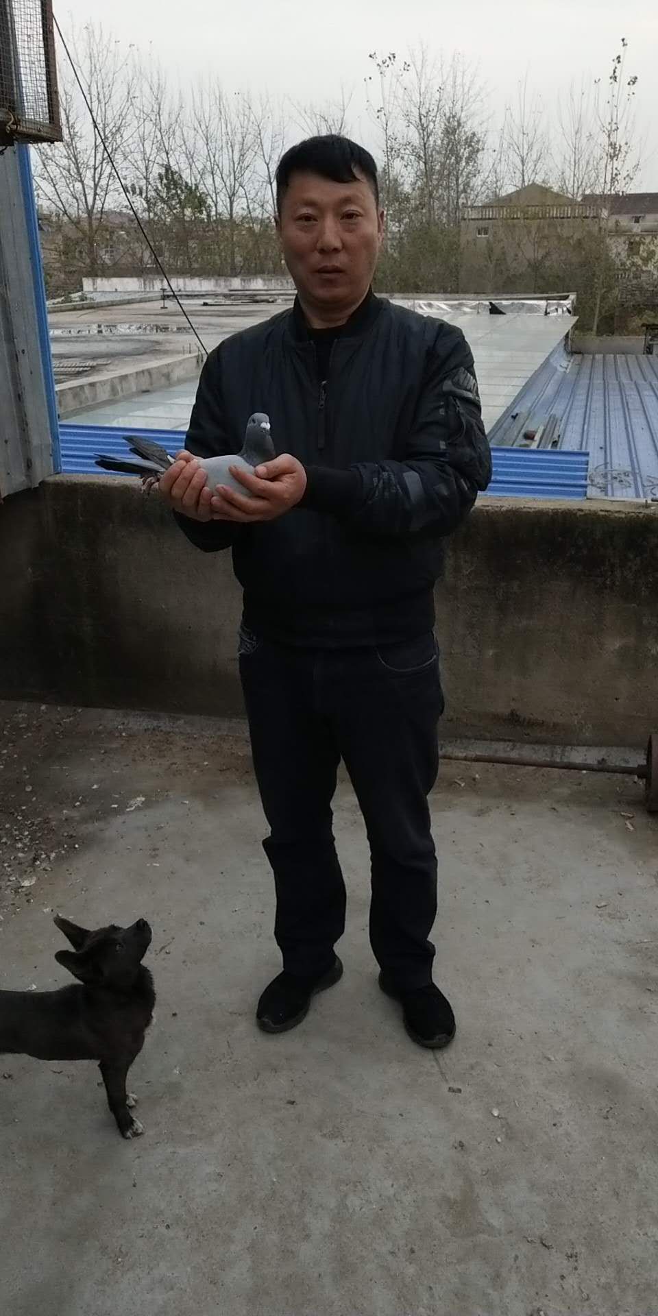 ȫͼ