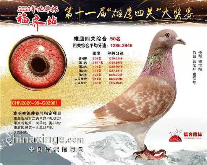 ȫͼ