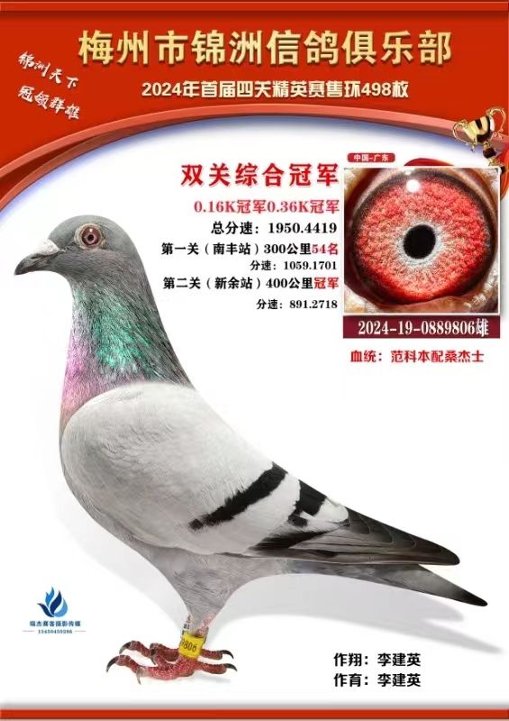 ȫͼ