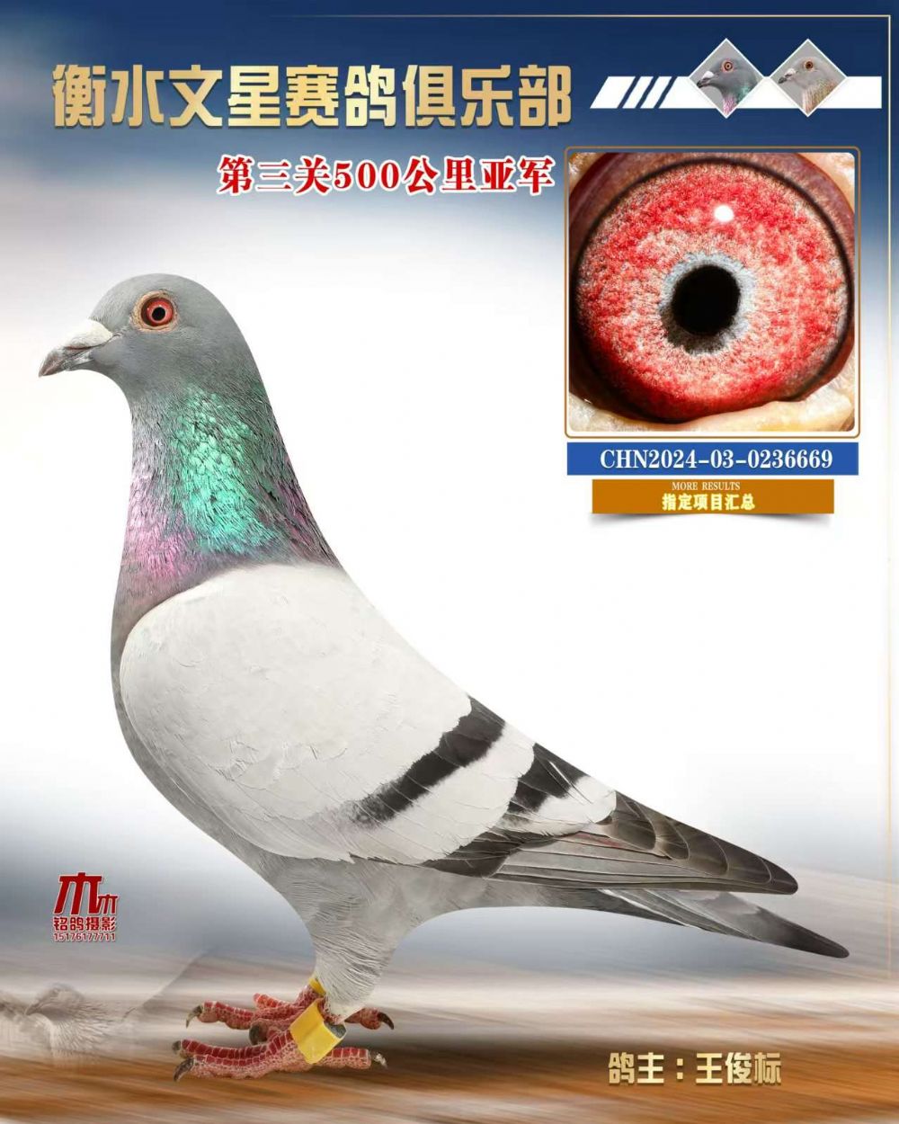 ȫͼ