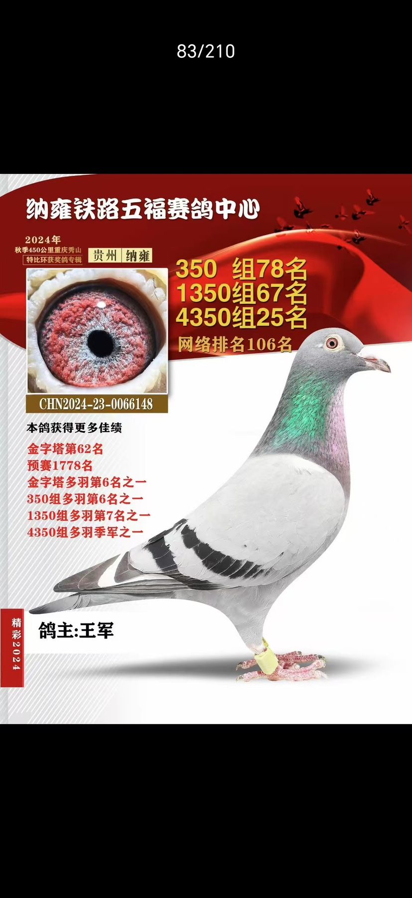 ȫͼ