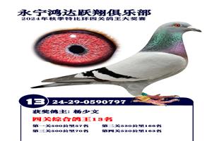 غԾŸֲ