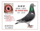 鿴øϸ..