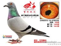 鿴øϸ..