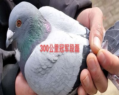 鿴øϸ..