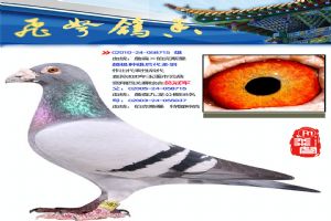 鿴øϸ..