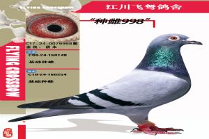 鿴øϸ..