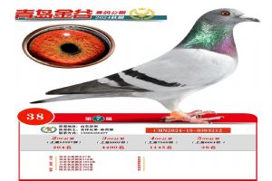 ֲ