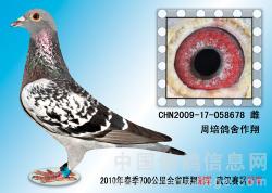 700ﺪվ񽱸Ƭ