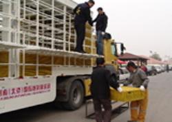 2011 ڶ  ͼ