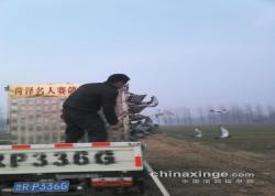 2014괺·ѵͼƬ