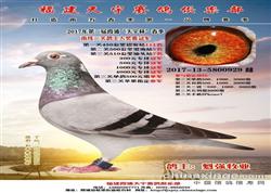 2017괺ǰʮ񽱸