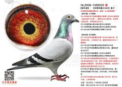 ߸ϵ򣬳ɾ͡йŷ߿ˡҵ