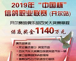 2019ꡰŸְҵ³
