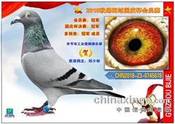 18챭Ա񽱸һ1-50