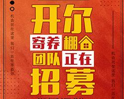 2019꿪Ŷļ