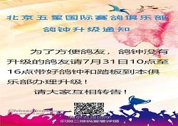 ֪ͨ