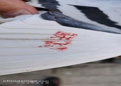 2020괺300һʱƬ