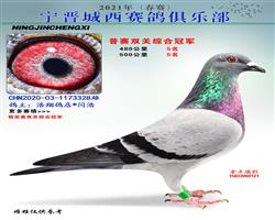 ֲظ˫ظ