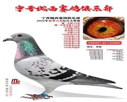 سֲ2022괺񽱸