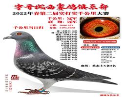 ֲ2022괺ڶǧﵱӢ͹
