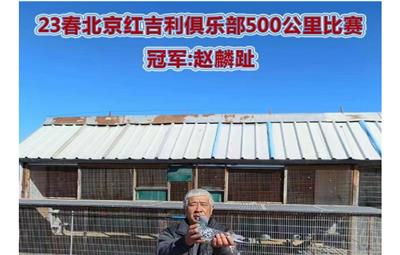 켪ֲ500Ƭ