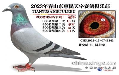 2023괺رȻĹۺϸ1-10