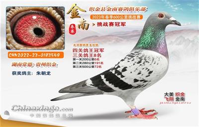 2023괺600ս񽱸ͼƬ