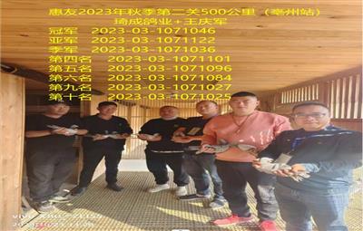 ر ڶ505վǰʮƬ