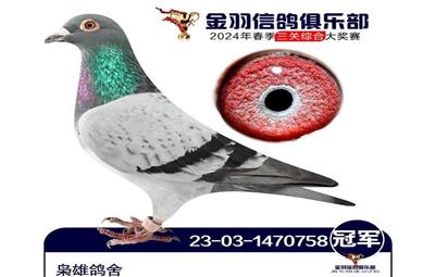2024괺ʤƬھ-10