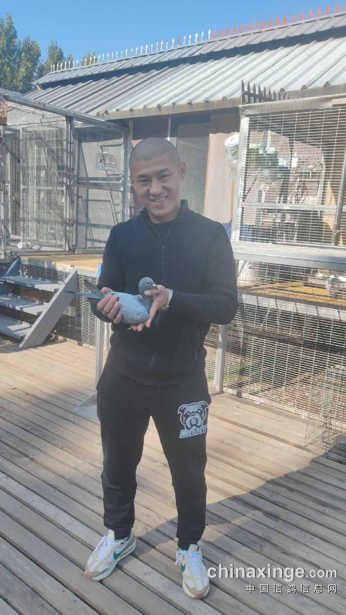 北京翔飞赛鸽俱乐部-中国信鸽信息网