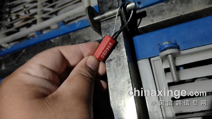 2024年北京胜奥俱乐部秋320公里普赛 集鸽2179羽 取奖416名