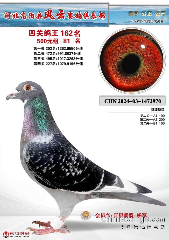北京开创者赛鸽俱乐部=北京开创者赛鸽俱乐部官网