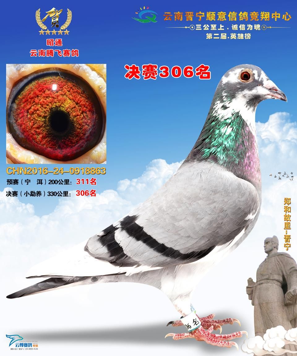 云南省昭通市腾飞赛鸽俱乐部