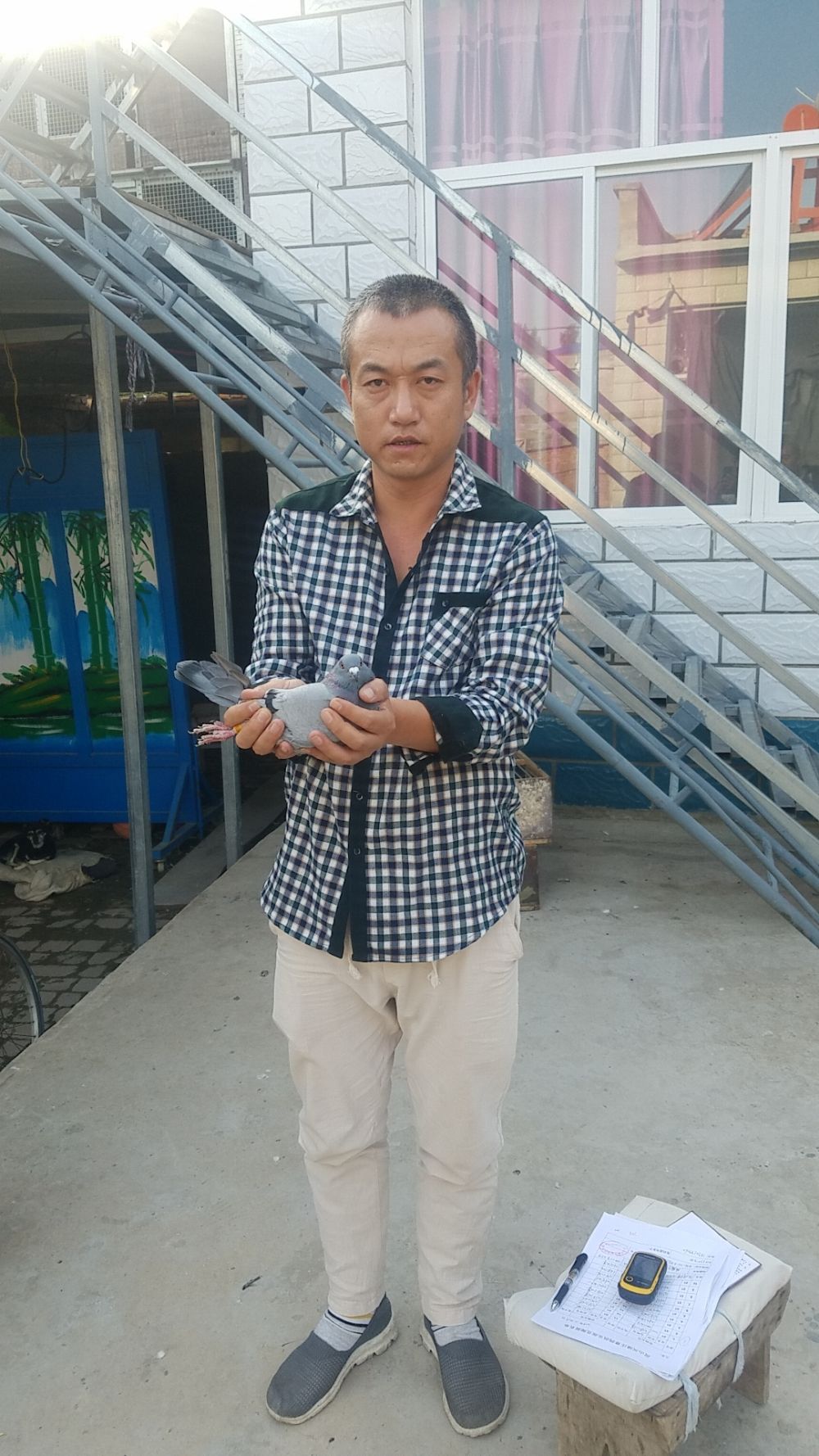 北京房山兴隆庄赛鸽俱乐部
