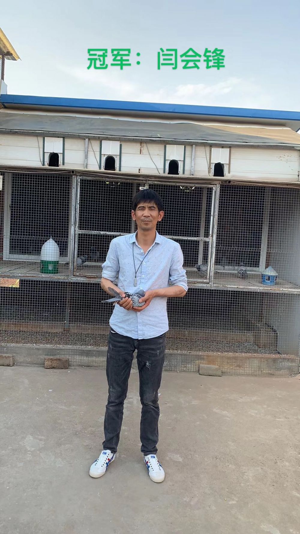 户县帕提欧皇家赛鸽俱乐部